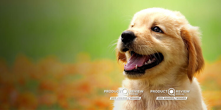 pet-insurance-australia