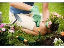 How to spring clean your garden: tips, garden tools, and more