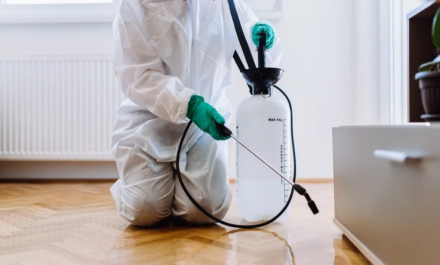 Commercial Pest Control Treatments