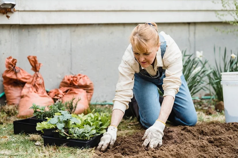 A woman wearing gloves and gardening in her yard.
