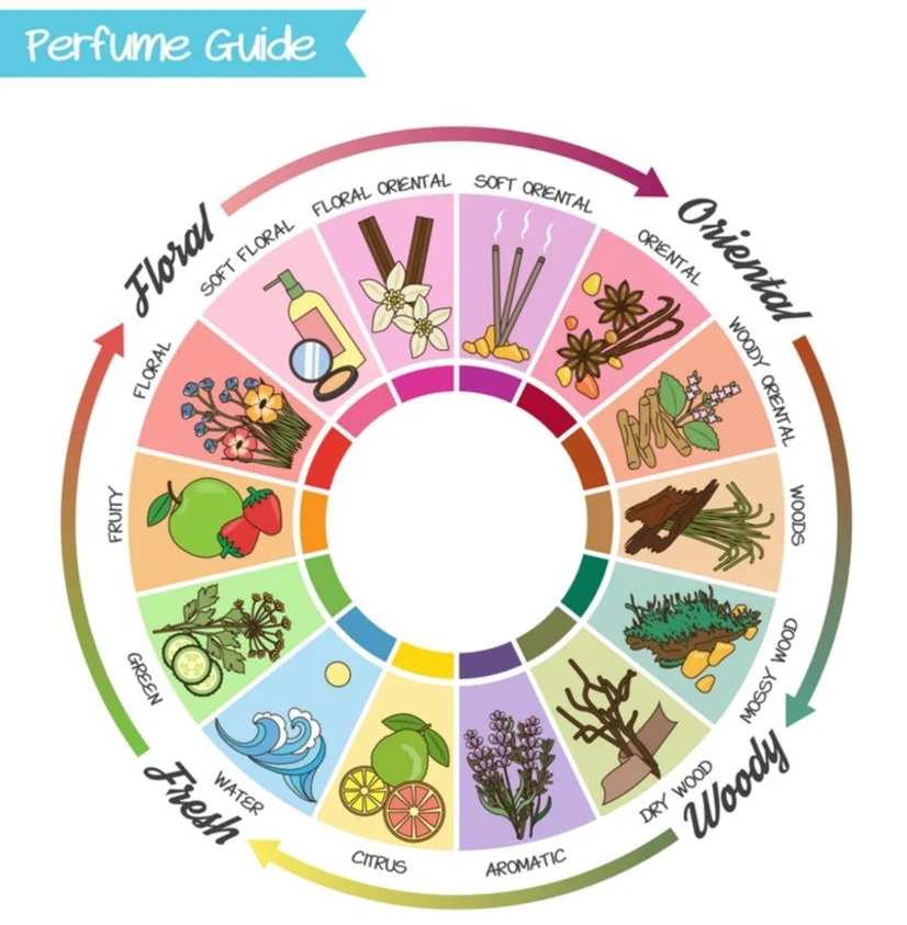 A fragrance wheel outlining the different fragrance families and subfamilies