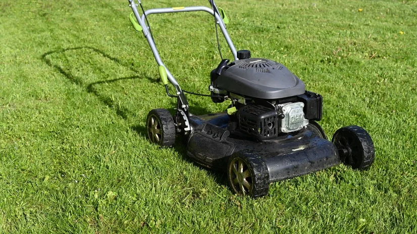 A black petrol push mower sitting on a lush, green lawn