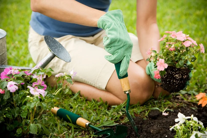 A woman wearing gloves and planting flowers in her garden.