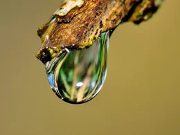 Moisture droplet