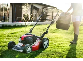 Rover oxley lawn online mower