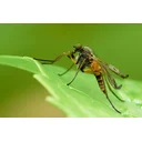 Muz1970 profile picture