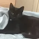 Storky