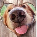 Jane profile picture