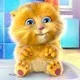 Mèo X.