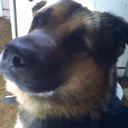 Mine` profile picture