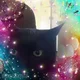 Felina H
