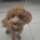 Fiona