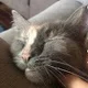 mackenzie15062000