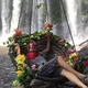 Irena W