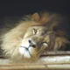 Topcatz1