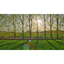 Jacob profile picture