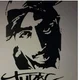 stu