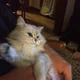 Rob