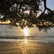 MaybeQLD