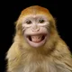 John S