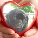 Rosie