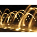 dawn kerr profile picture