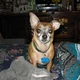 cindylee