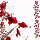Anne G.