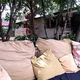 Suzannav41