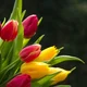 mum1