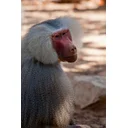 Gayle L profile picture