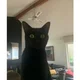 Tony