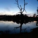 OzD Australia