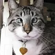 julie.macarthur67