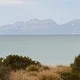 Bay