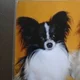 Nettie