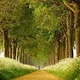 Mojtaba S.