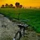 jermanjitsingh1991