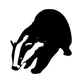 Badger