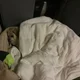 Janet