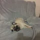 Just doing my thing