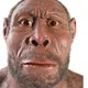 BernMae