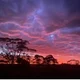 Kerryn