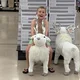Rebecca M