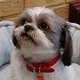 deb