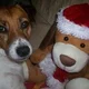 Snoopy