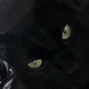 Allyb