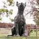 aussiegb58