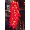 Slava Atkins profile picture