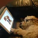 Online Dude